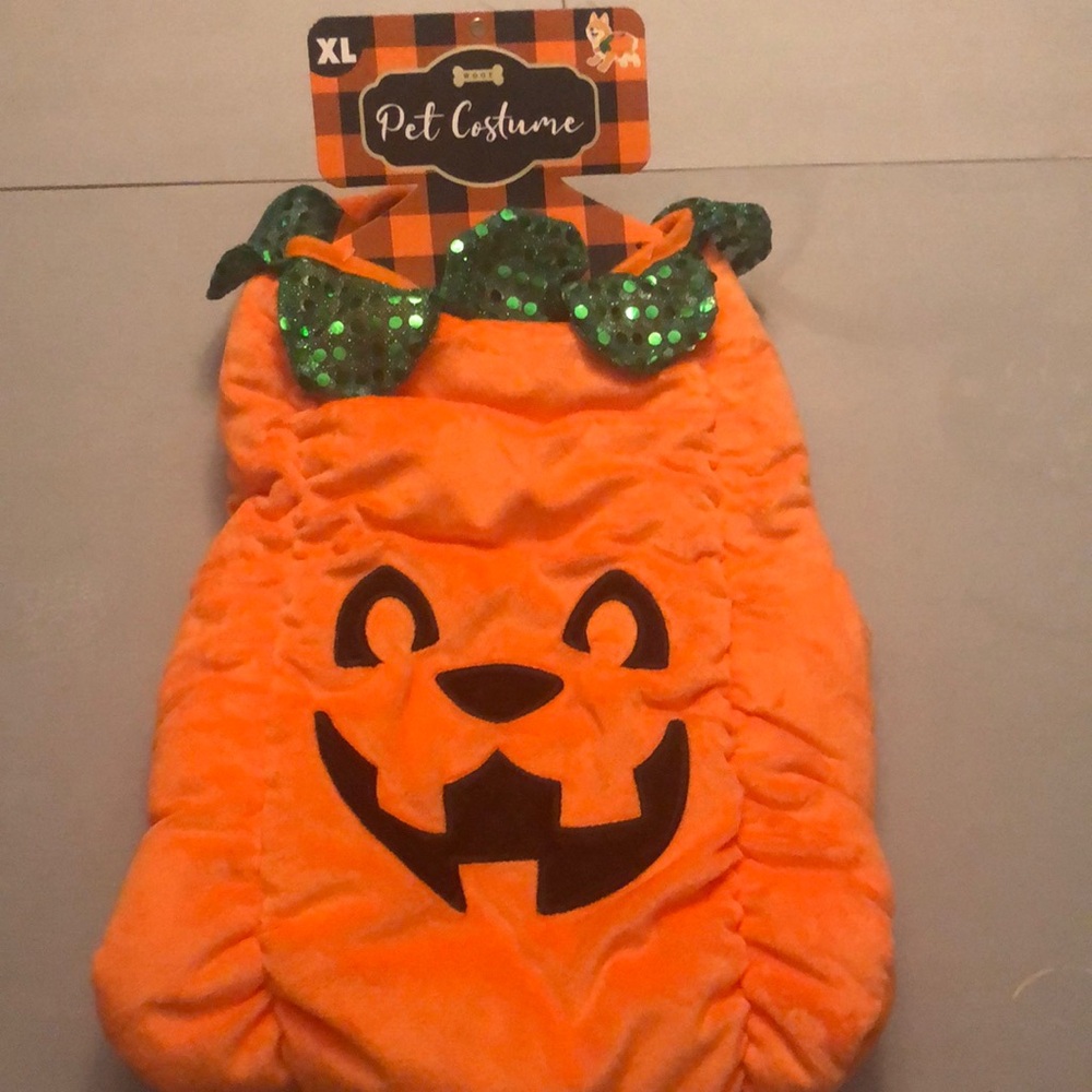 New Pumpkin Dog costume 🎃XL